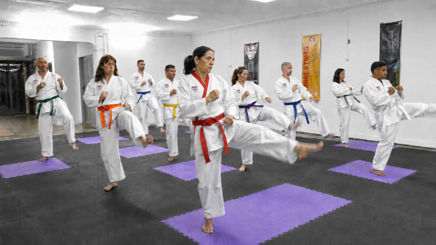Adultos entrenando Taekwondo y defensa personal en Goes